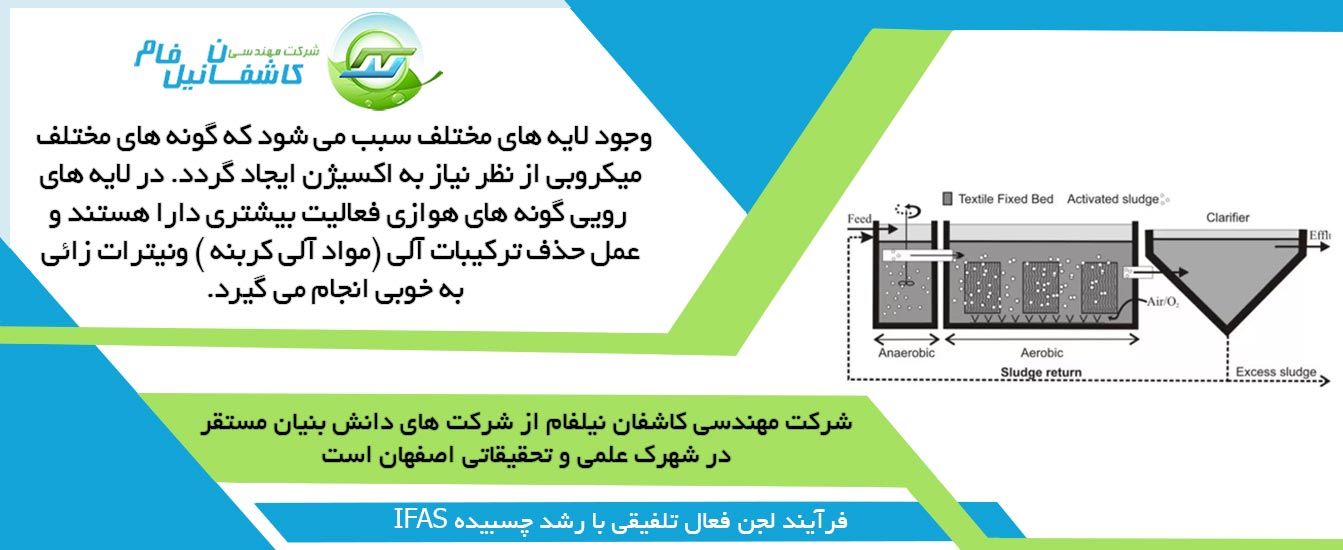 میکروب شناسی فرآیند  IFAS