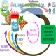 شاخص020 اهمیت بازیافت و تصفیه فاضلاب با استفاده از پکیج های تصفیه فاضلاب