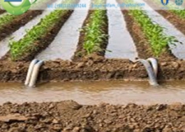 Picture1 بازیافت آب برای کشاورزی بازیافت آب برای کشاورزی