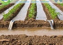 بازیافت آب برای کشاورزی